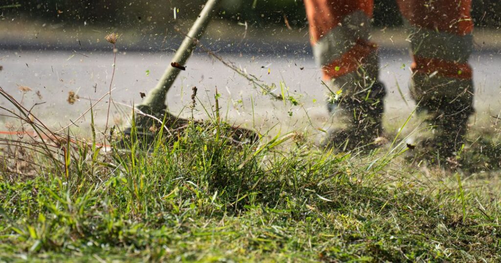 corte de grama em Manaus
