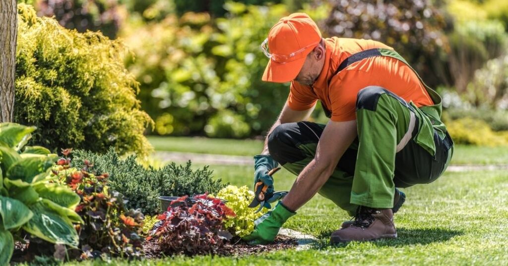 implantação de jardins em Manaus