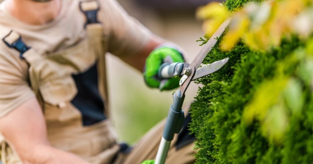 manutenção de áreas verdes em Manaus