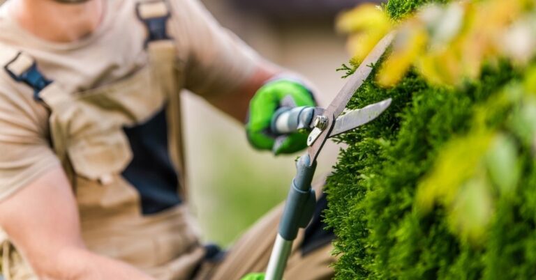 manutenção de áreas verdes em Manaus